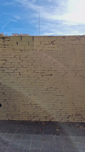 Asri Leki Dress Midi 3/4 sleeve Petite in Forest Green