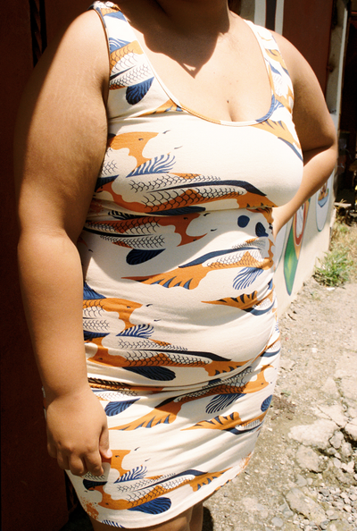 Reversible Cesee Mini Dress in Ikan