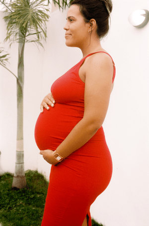 Nata Pencil Dress in Pomegranate Red - Manners London